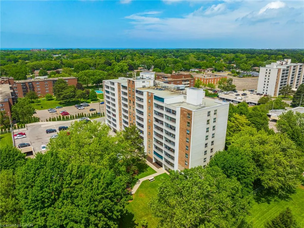 365 Geneva Street #1002