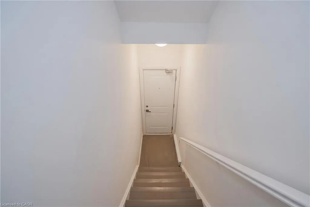 265 Cotton Grass Street #201
