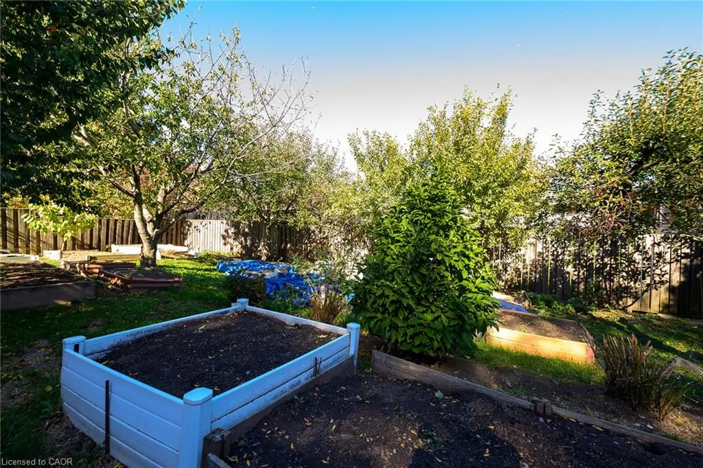 6 Sandringham Avenue