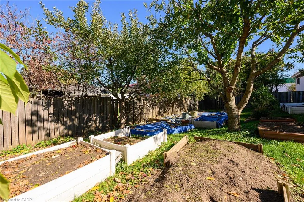 6 Sandringham Avenue