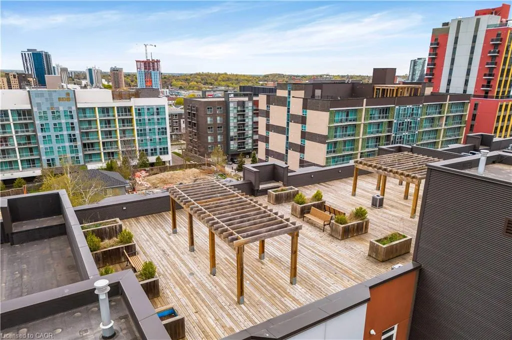 253 Albert Street #103