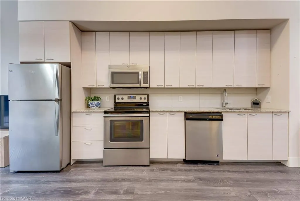 253 Albert Street #103