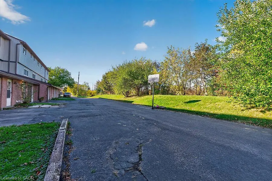 65 Mount Albion Road #1-8