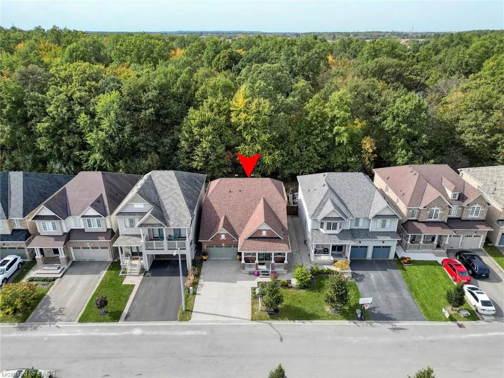 8541 Sweet Chestnut Drive
