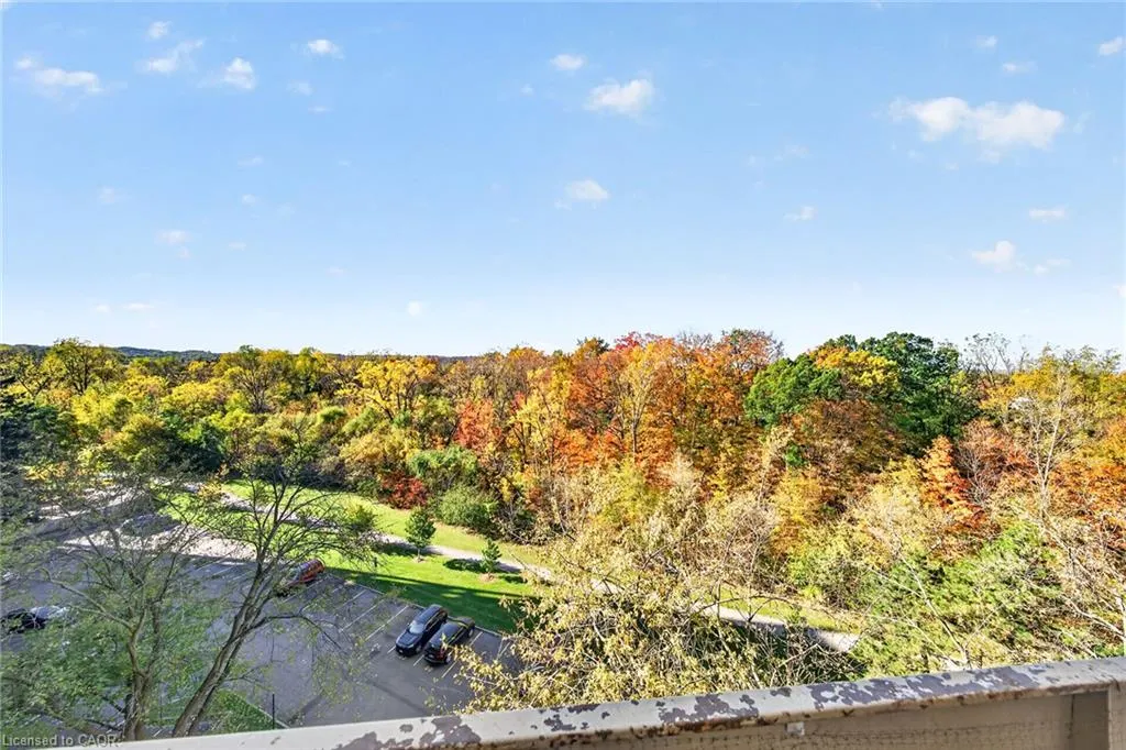 350 Quigley Road #543