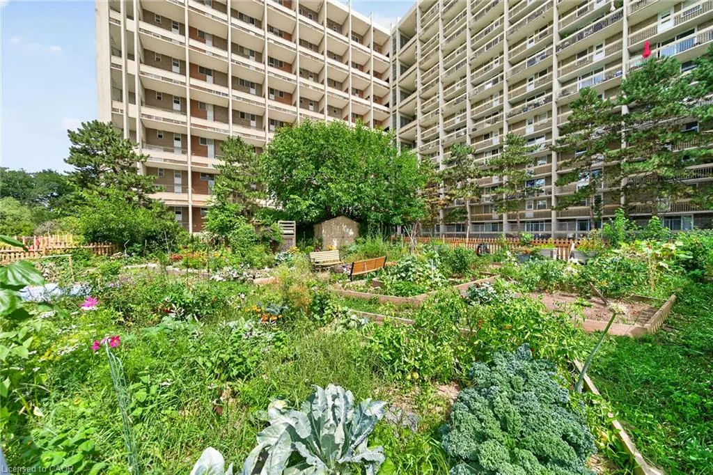 350 Quigley Road #543