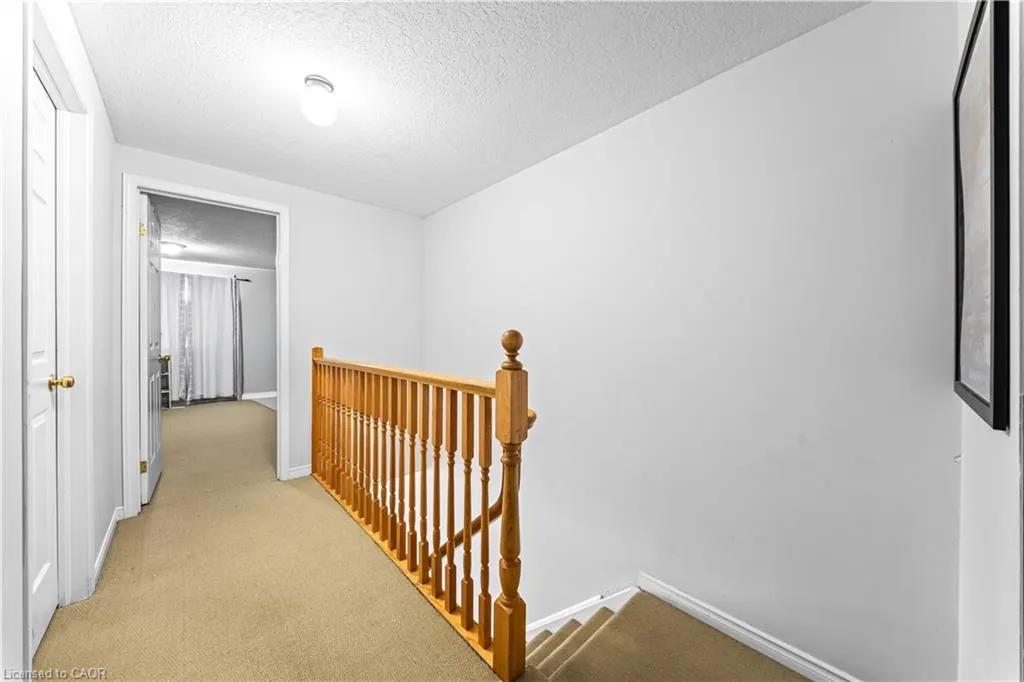 245 Red Clover Court