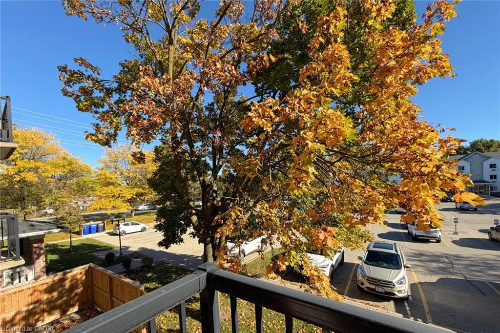 276 Eiwo Court #204