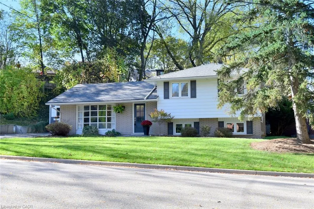 6 Bendemeer Street