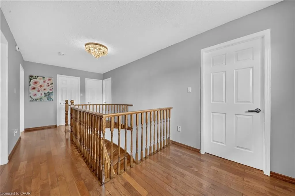31 Vega Crescent #Main