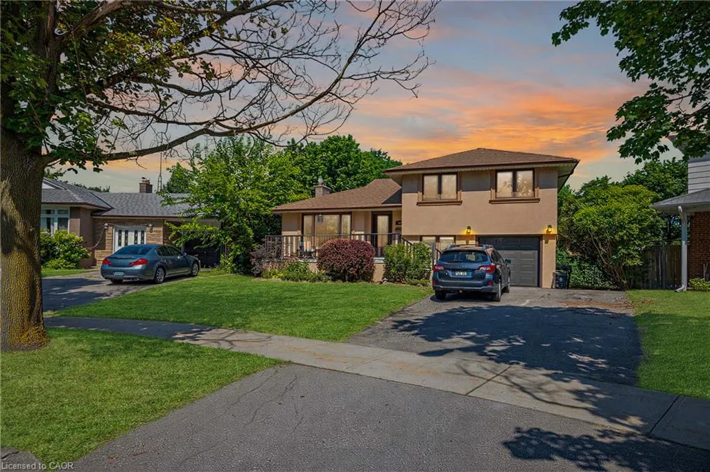88 Rabbit Lane