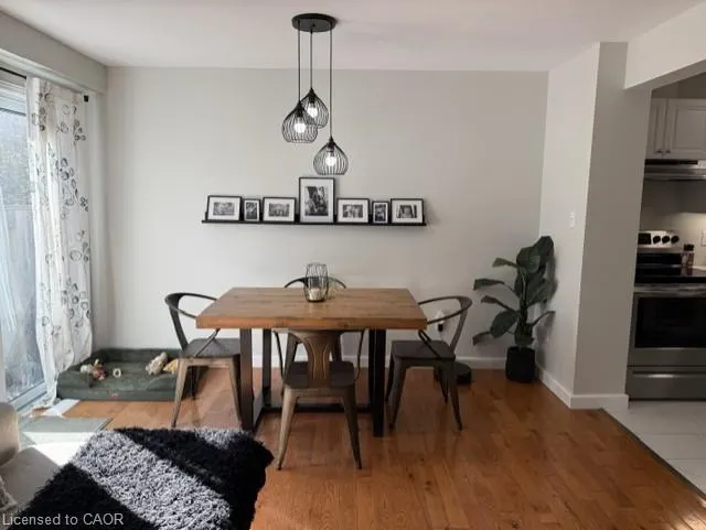 169 Bismark Drive #16