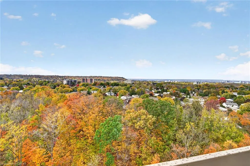 350 Quigley Road #849