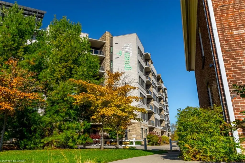 33 Whitmer Street #523