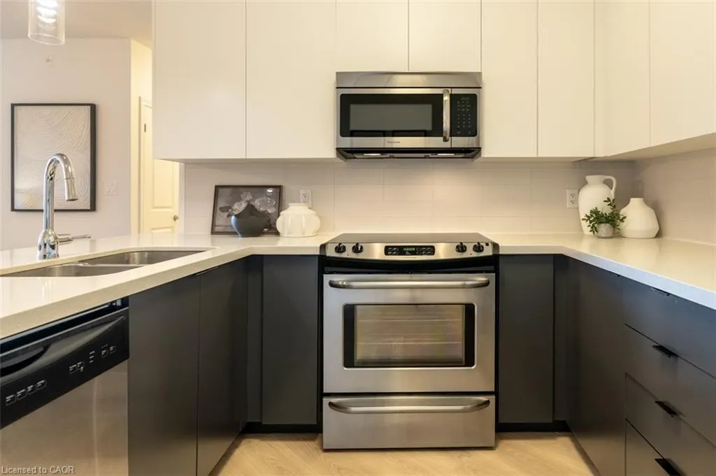 33 Whitmer Street #523