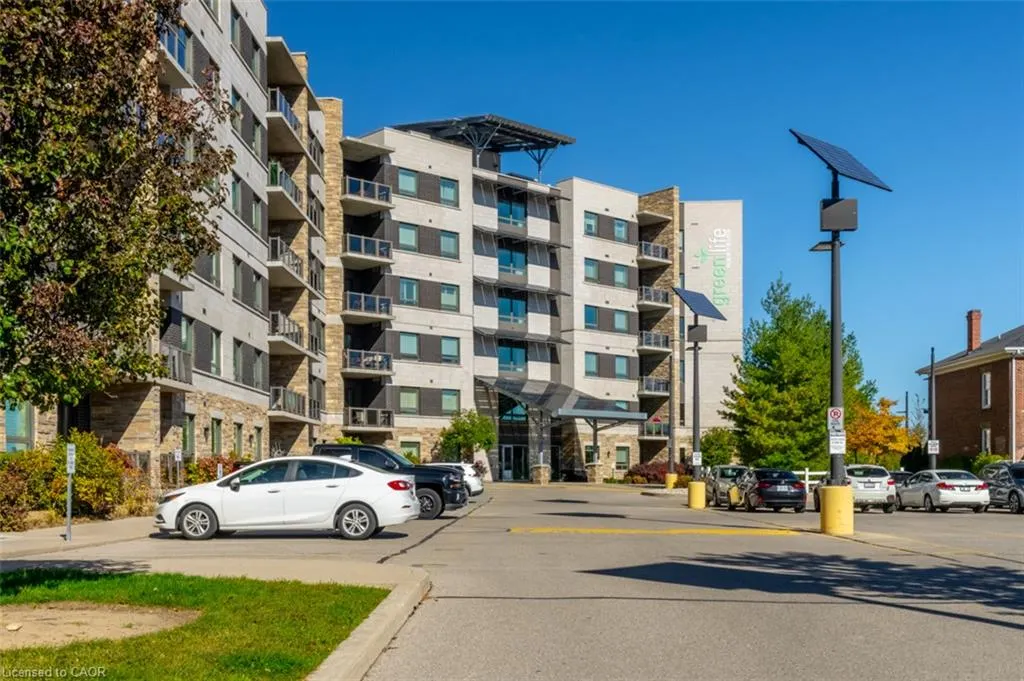 33 Whitmer Street #523