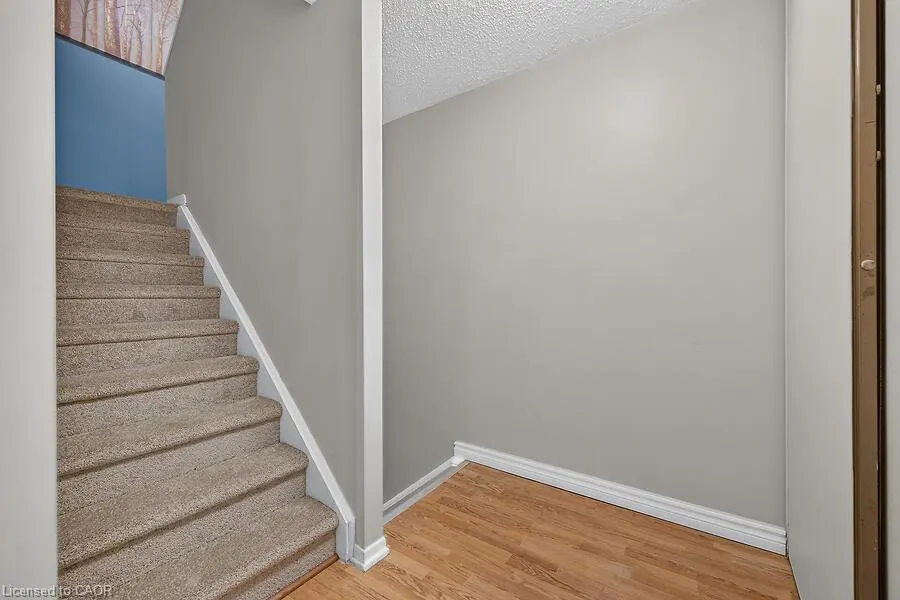 63 Fonthill Road #3
