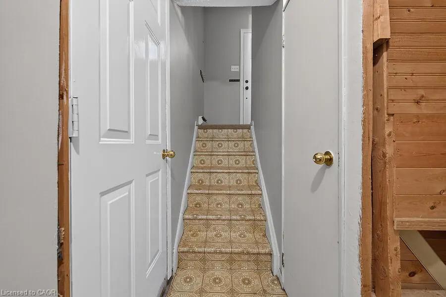 63 Fonthill Road #3