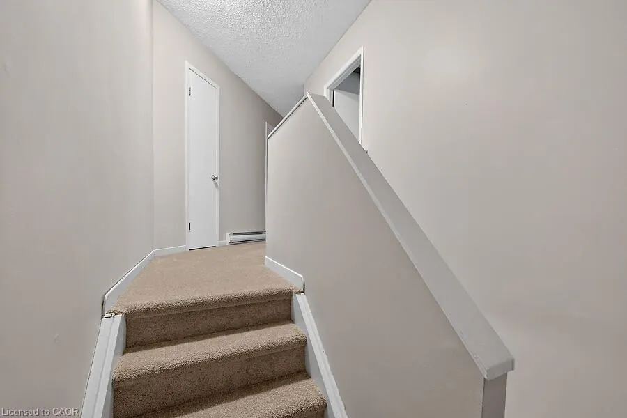 63 Fonthill Road #3