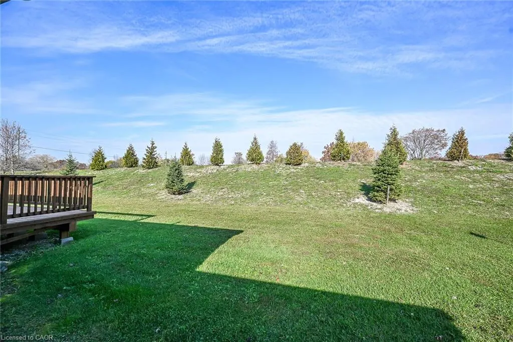 5 Forest Trail