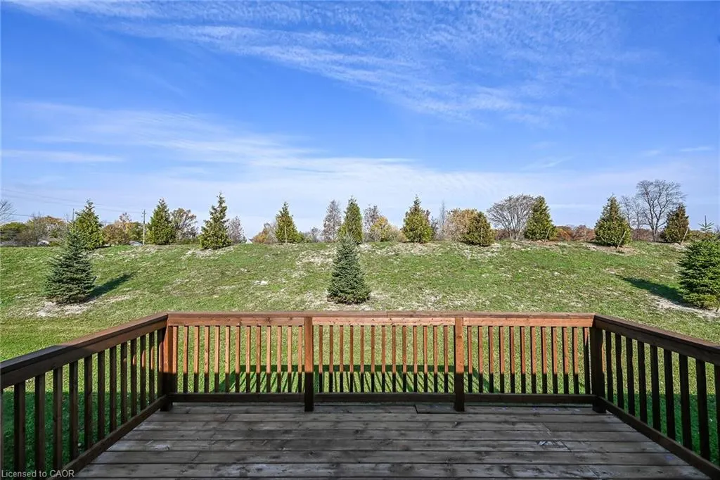 5 Forest Trail