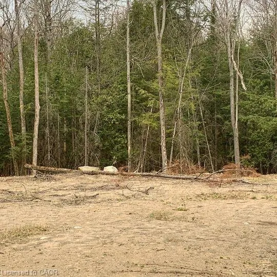 5 Mountain Basin Drive
