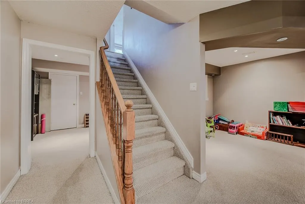 45 Olivetree Road