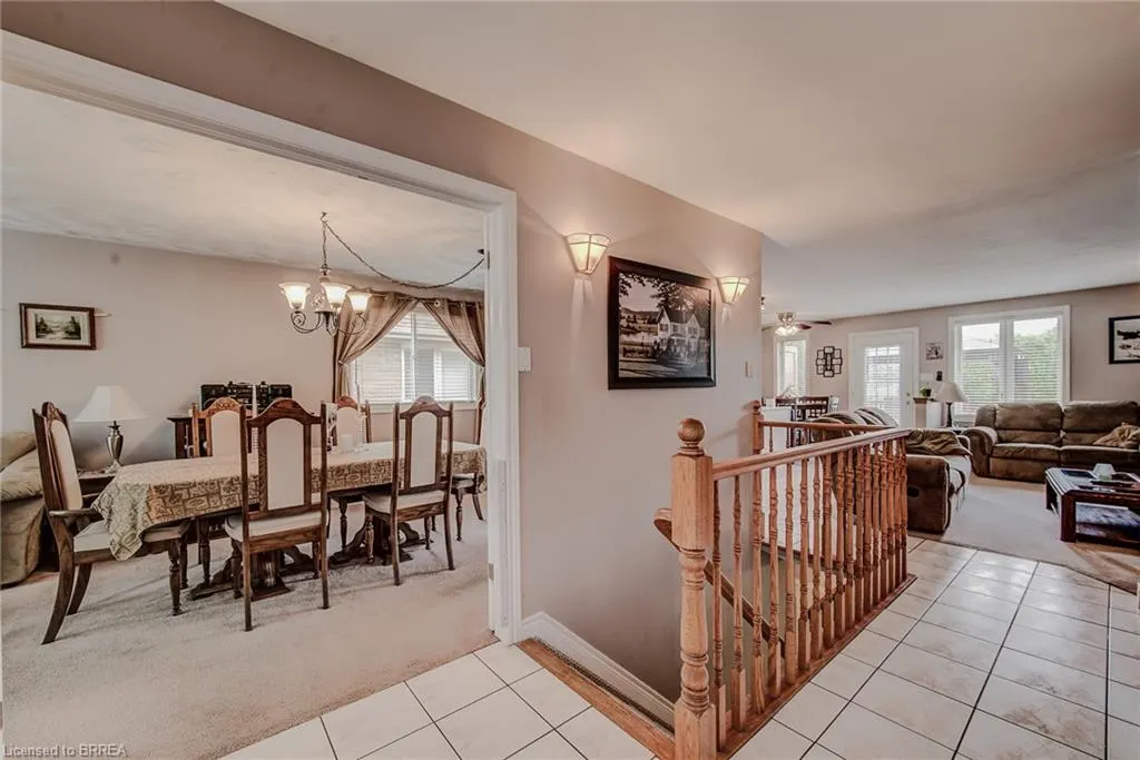 45 Olivetree Road