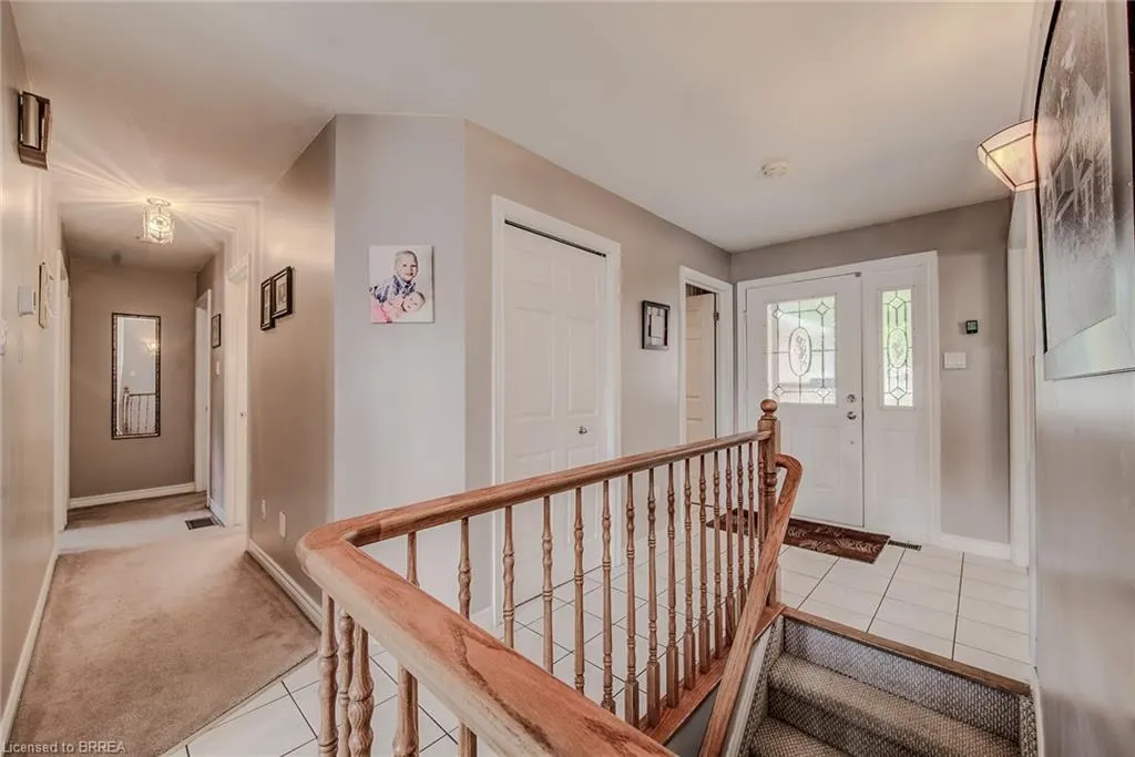 45 Olivetree Road