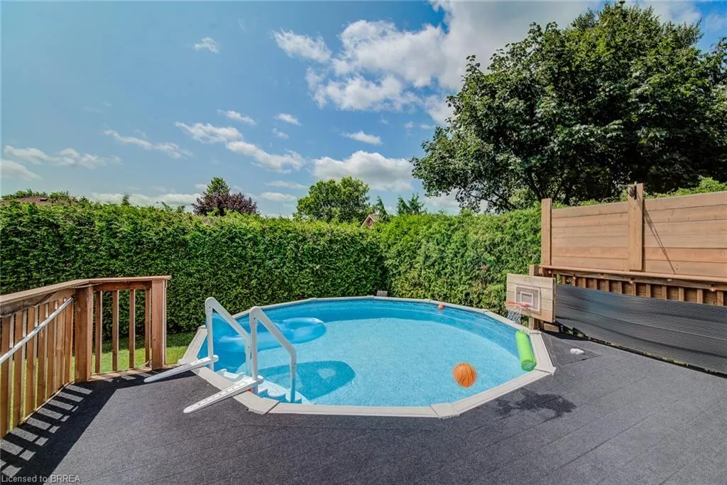 45 Olivetree Road