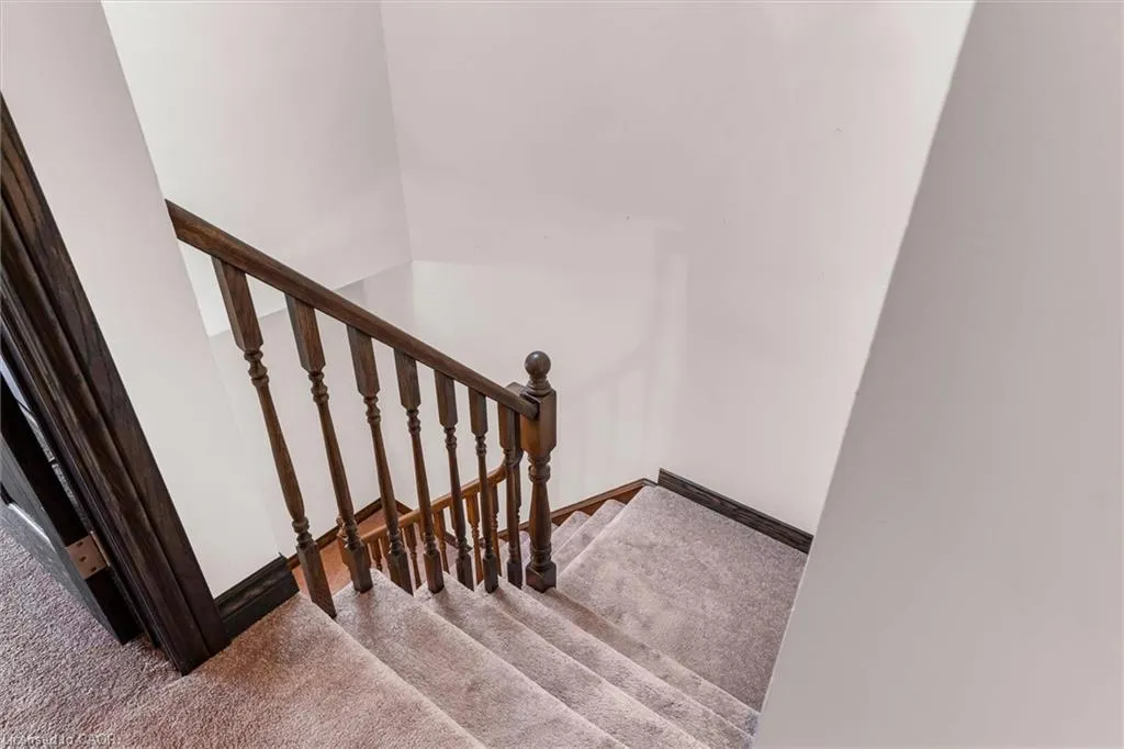 34 Dynasty Avenue #36