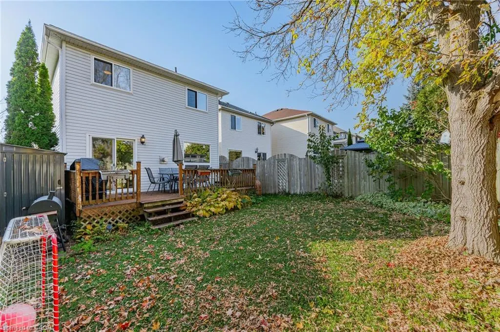 606 Royal Fern Street
