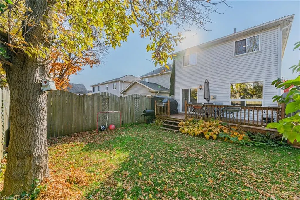 606 Royal Fern Street