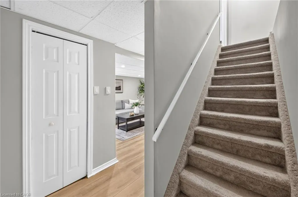 606 Royal Fern Street