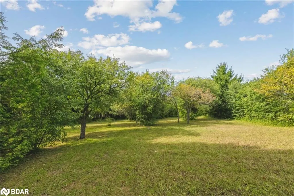 46 Forest Hill Drive