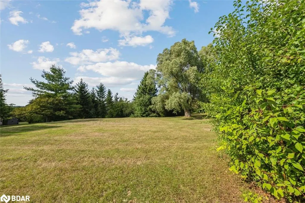 46 Forest Hill Drive