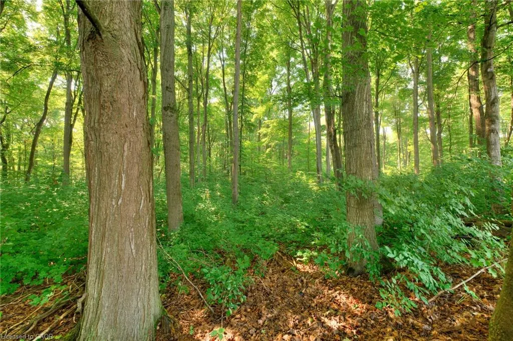 17 Woods Edge Court, #165