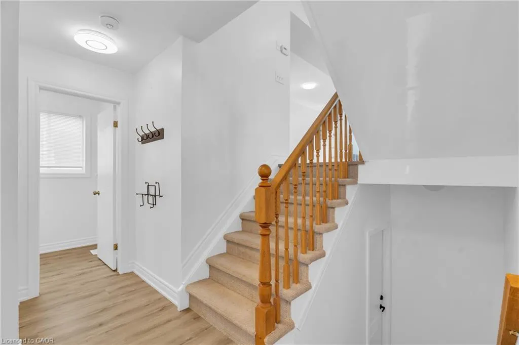 12 Mccurdy Road