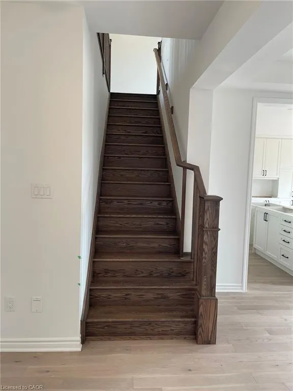 155 Rosenberg Way