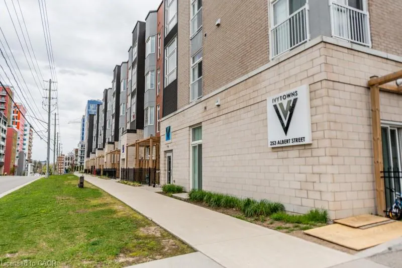 253 Albert Street, #205