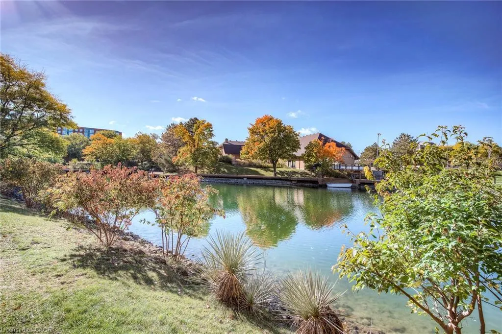54 Blue Springs Drive, #41