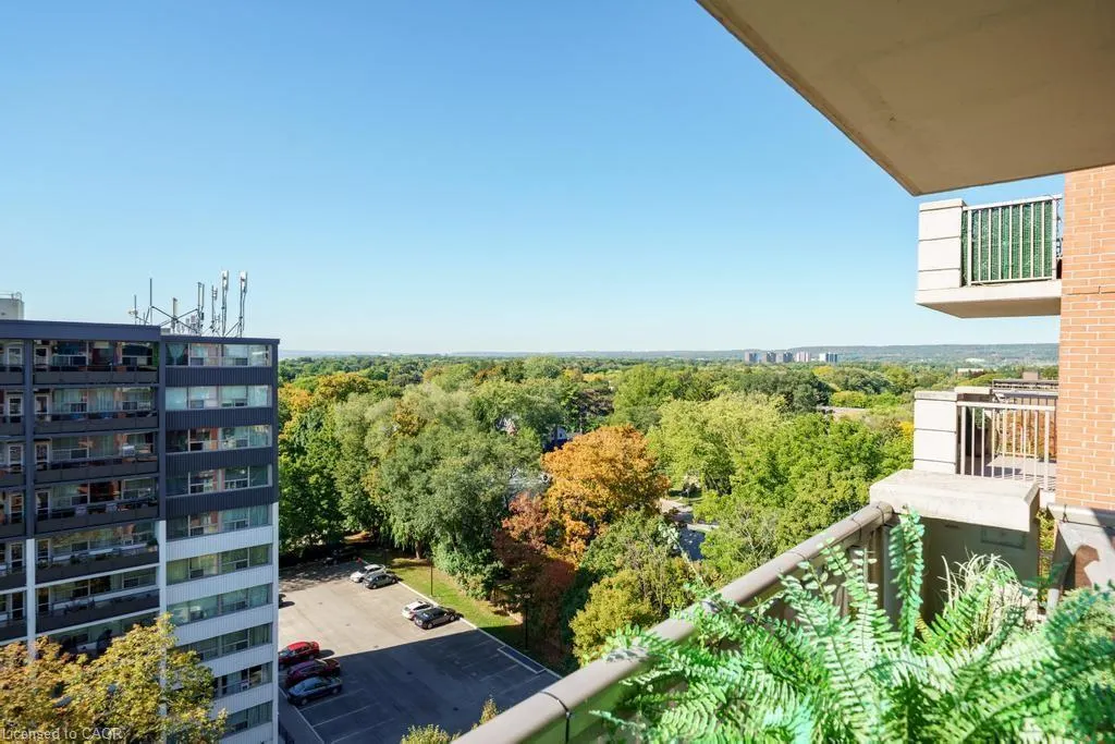 442 Maple Avenue, #1101