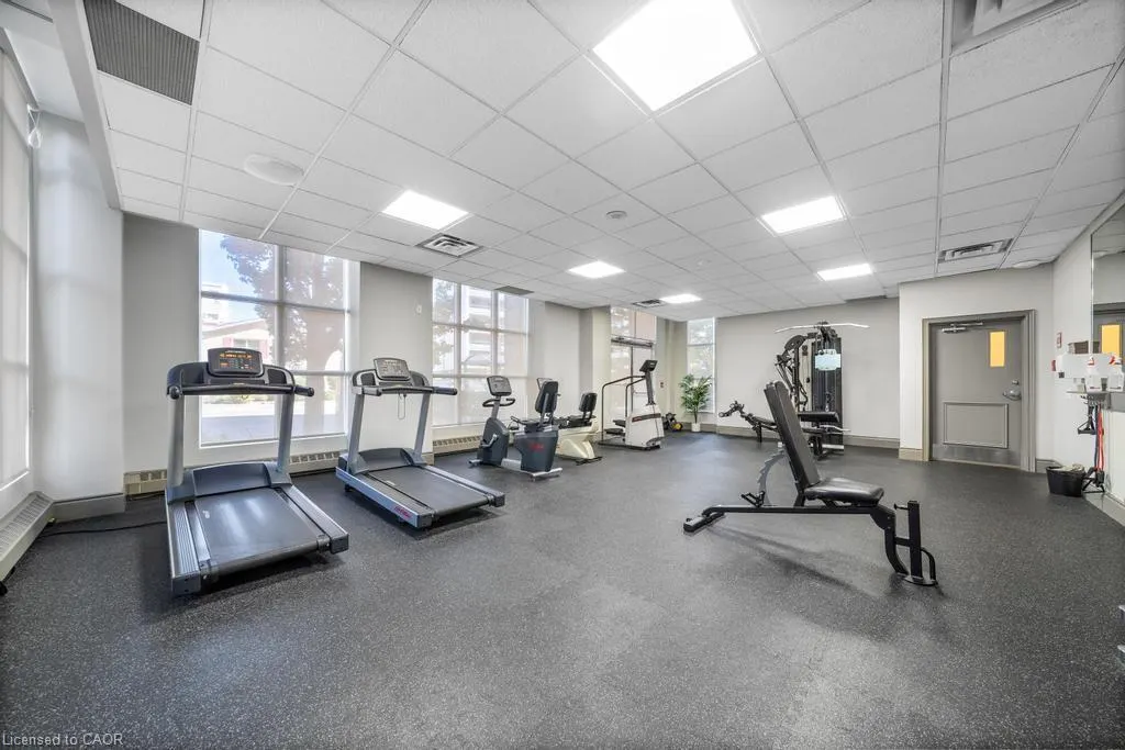 442 Maple Avenue, #1101
