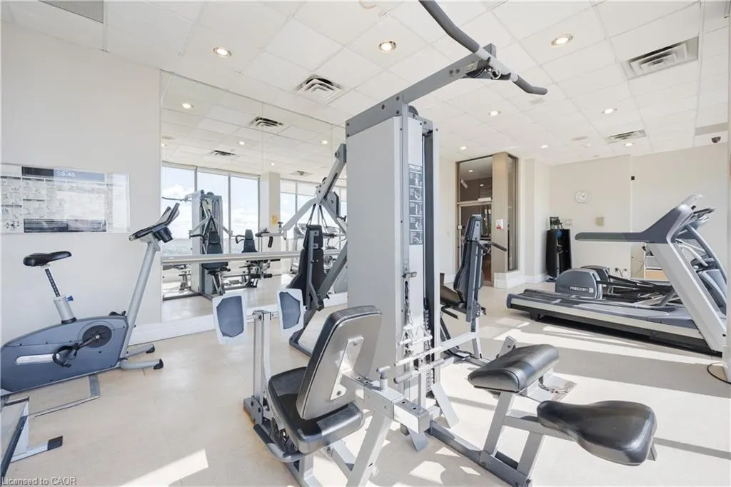 55 Elm Drive W, #2204