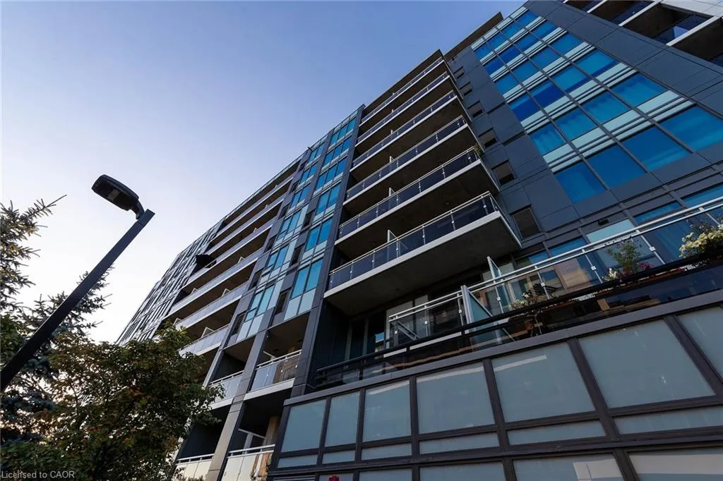 63 Arthur Street S, #205