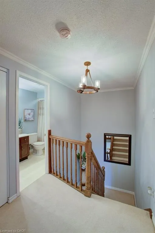 479 Beechwood Drive, #3