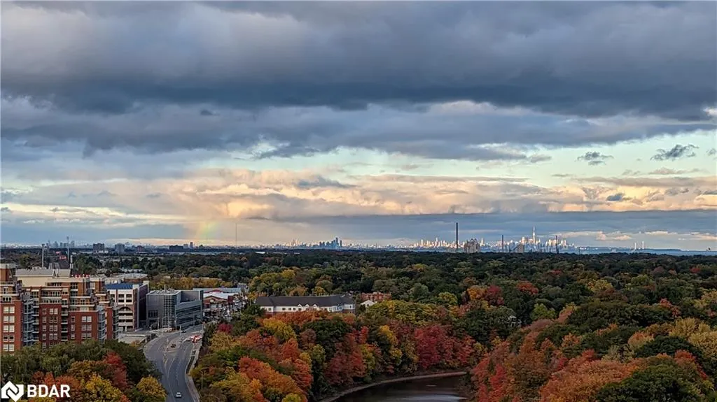 65 Spears Road Road, #1503