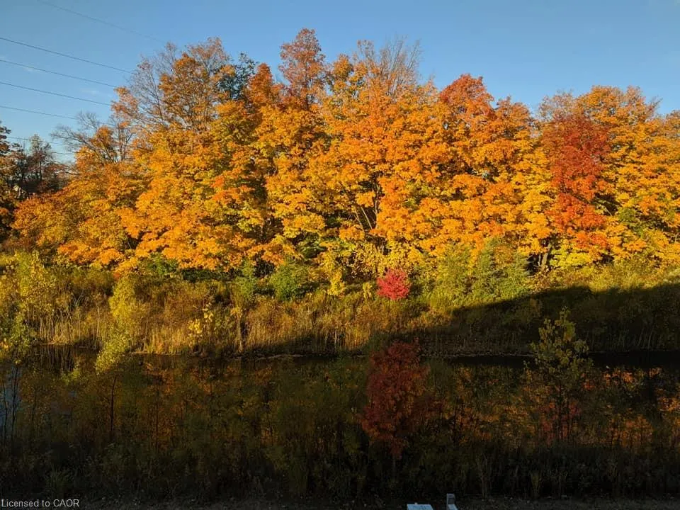 288 Steepleridge Street