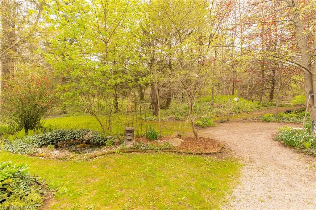 1097 Mineral Springs Road