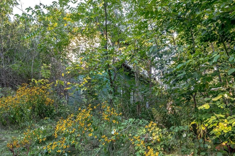 961 Lower Lions Club Road